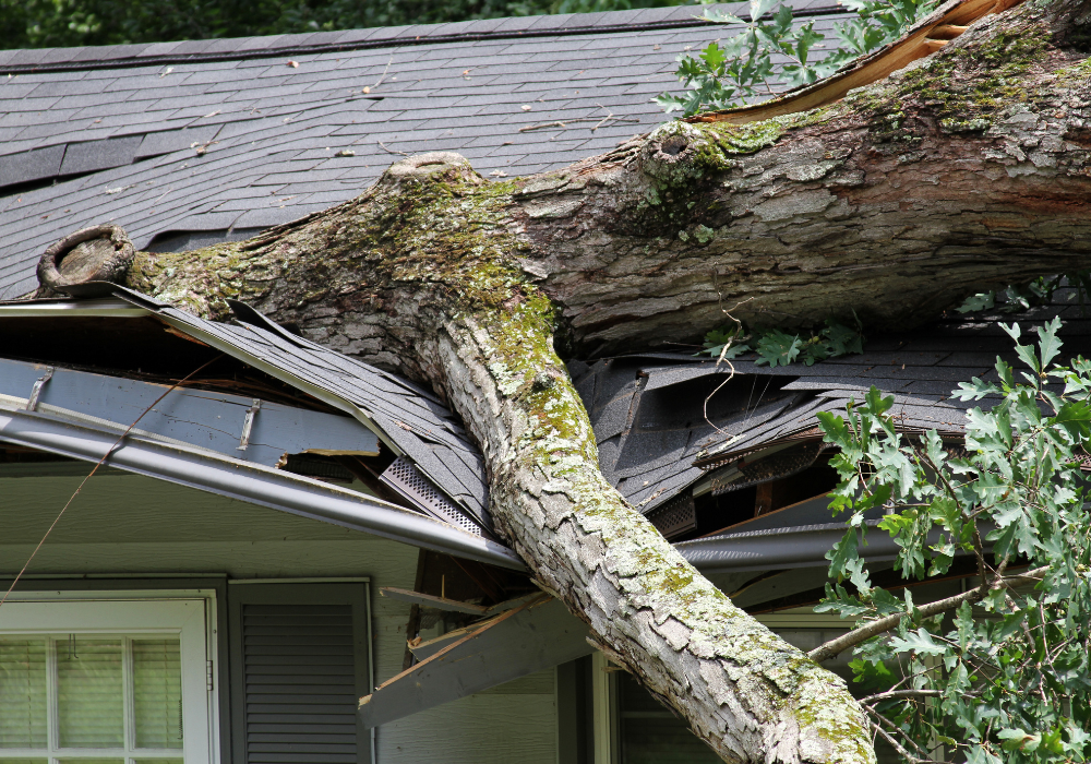 Storm Damage Restoration