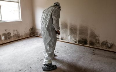 Mold Inspections That Sniff Out Hidden Moisture Nightmares