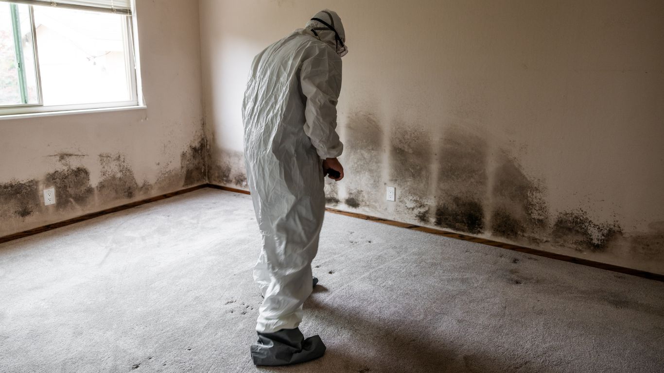 mold inspections in a chemical suit