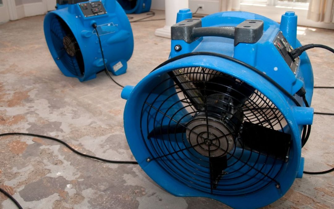 Why Water Damage Restoration in Baton Rouge Should Be on Your Radar This Season