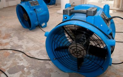 Why Water Damage Restoration in Baton Rouge Should Be on Your Radar This Season